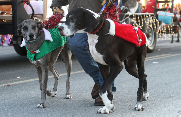 Killeen Christmas Parade